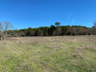 Tyler Texas Land For Sale Development Property In East Texas - image 25