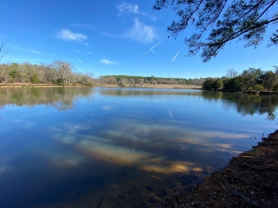 Tyler Texas Land For Sale Development Property In East Texas - image 40