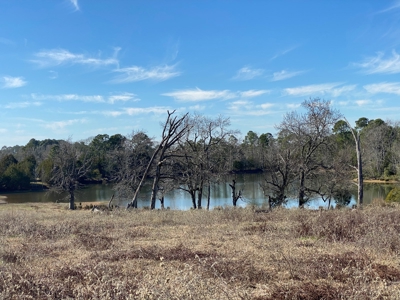 Tyler Texas Land For Sale Development Property In East Texas - image 26