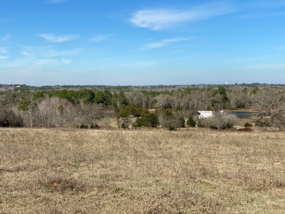 Tyler Texas Land For Sale Development Property In East Texas - image 37