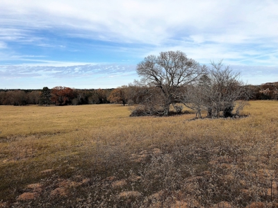 Tyler Texas Land For Sale Development Property In East Texas - image 42