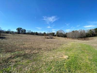 Tyler Texas Land For Sale Development Property In East Texas - image 14