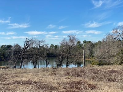 Tyler Texas Land For Sale Development Property In East Texas - image 27