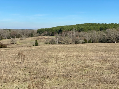 Tyler Texas Land For Sale Development Property In East Texas - image 34