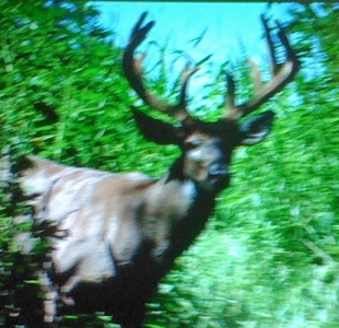 Hunting Property For Sale in Southern Iowa - image 6