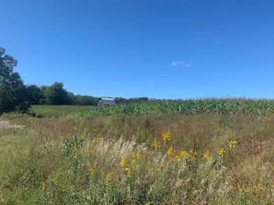 Hunting Property For Sale in Southern Iowa - image 11