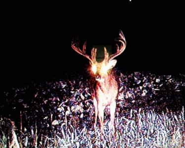 Hunting Property For Sale in Southern Iowa - image 10