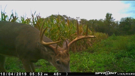 Hunting Property For Sale in Southern Iowa - image 14