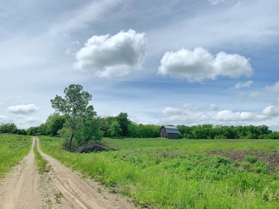 Hunting Property For Sale in Southern Iowa - image 5