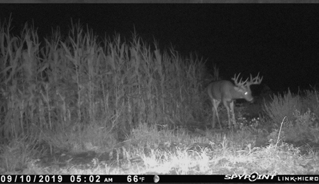 Hunting Property For Sale in Southern Iowa - image 15