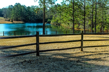 Horse Farm Close to Walthour- Moss Foundation - image 2