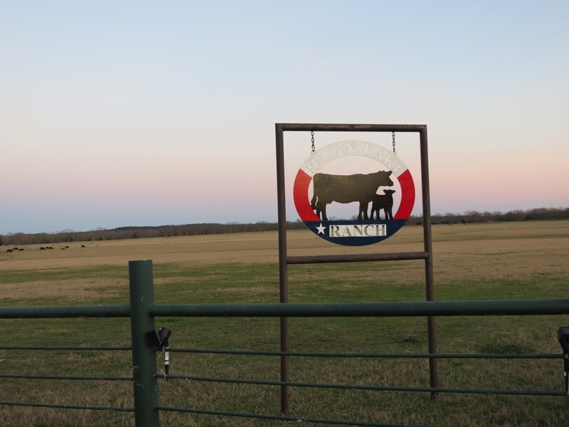 Recreational Ranch & Pecan Farm For Sale in Ben Wheeler, TX