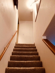 Colorado Income Producing Home in Town For Sale - image 16