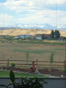 Montrose Ridgway CO Home Incredible Mountain Views For Sale - image 28