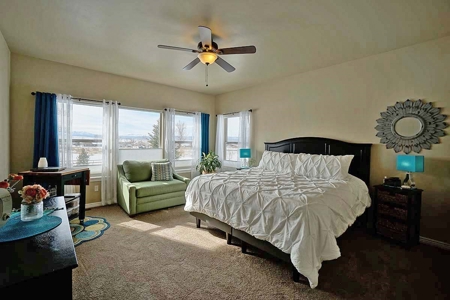 Montrose Ridgway CO Home Incredible Mountain Views For Sale - image 21
