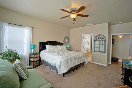 Montrose Ridgway CO Home Incredible Mountain Views For Sale - image 22