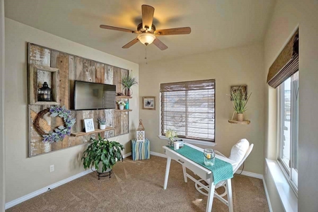 Montrose Ridgway CO Home Incredible Mountain Views For Sale - image 4