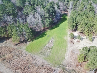 Large Acreage with Custom Home & Lake, Wilkinson Co, MS - image 15