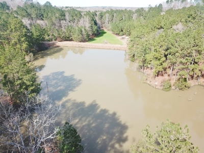 Large Acreage with Custom Home & Lake, Wilkinson Co, MS - image 13
