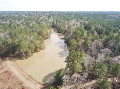 Large Acreage with Custom Home & Lake, Wilkinson Co, MS - image 14