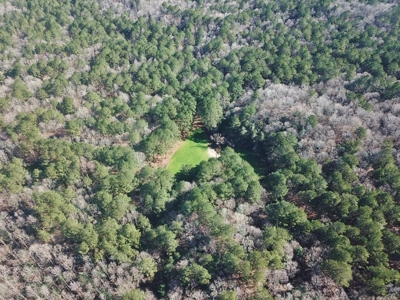 Large Acreage with Custom Home & Lake, Wilkinson Co, MS - image 6