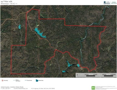 Large Acreage with Custom Home & Lake, Wilkinson Co, MS - image 48