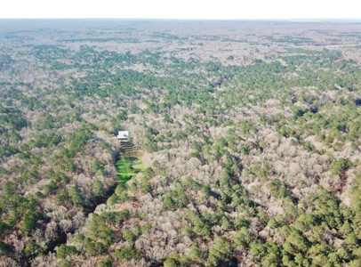 Large Acreage with Custom Home & Lake, Wilkinson Co, MS - image 7