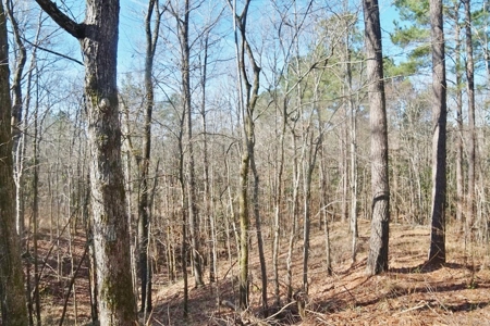 Large Acreage with Custom Home & Lake, Wilkinson Co, MS - image 34