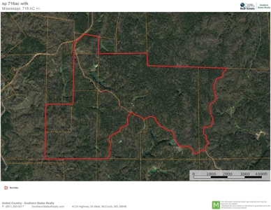 Large Acreage with Custom Home & Lake, Wilkinson Co, MS - image 47