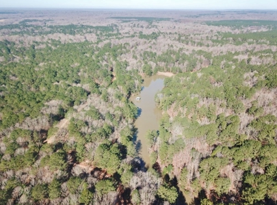 Large Acreage with Custom Home & Lake, Wilkinson Co, MS - image 4