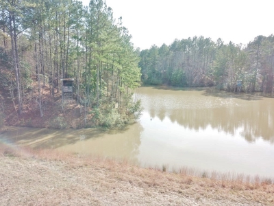 Large Acreage with Custom Home & Lake, Wilkinson Co, MS - image 17