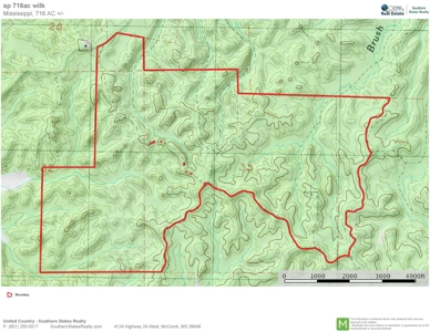 Large Acreage with Custom Home & Lake, Wilkinson Co, MS - image 49