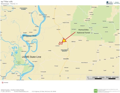 Large Acreage with Custom Home & Lake, Wilkinson Co, MS - image 46