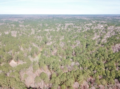 Large Acreage with Custom Home & Lake, Wilkinson Co, MS - image 11