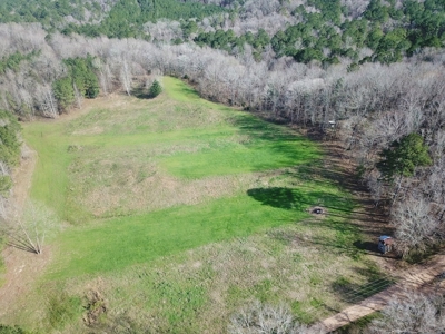 Large Acreage with Custom Home & Lake, Wilkinson Co, MS - image 18