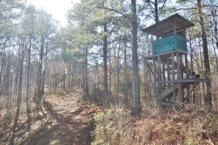 Large Acreage with Custom Home & Lake, Wilkinson Co, MS - image 37