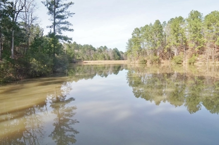 Large Acreage with Custom Home & Lake, Wilkinson Co, MS - image 39