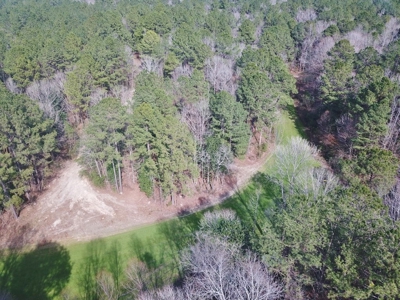 Large Acreage with Custom Home & Lake, Wilkinson Co, MS - image 10