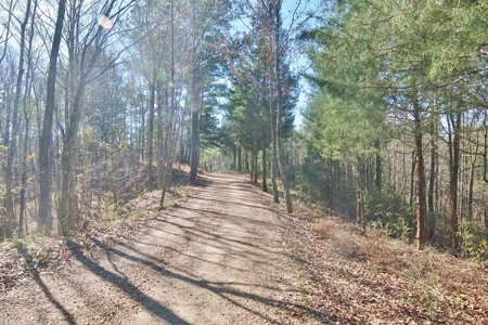 Large Acreage with Custom Home & Lake, Wilkinson Co, MS - image 33
