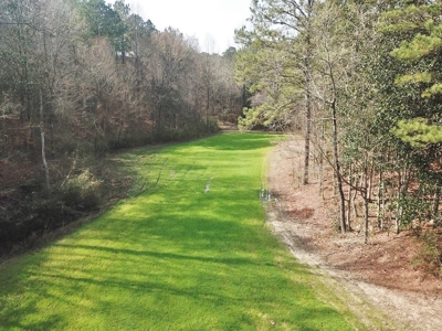 Large Acreage with Custom Home & Lake, Wilkinson Co, MS - image 8