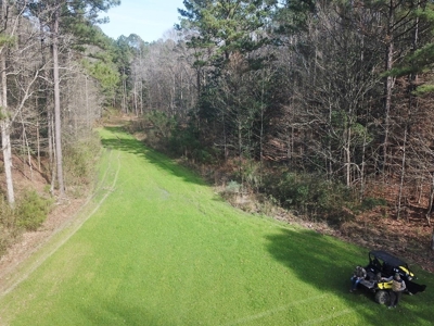 Large Acreage with Custom Home & Lake, Wilkinson Co, MS - image 9