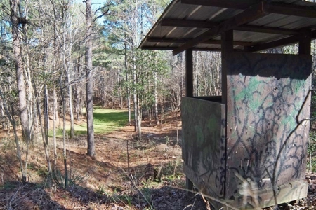 Large Acreage with Custom Home & Lake, Wilkinson Co, MS - image 38