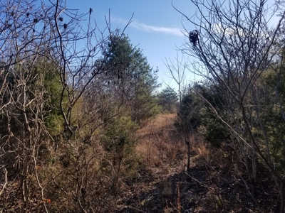 Sold! Wayne County Tn Mountaintop View Land 20 Ac - image 4
