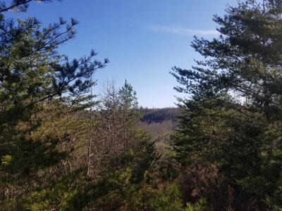 Sold! Wayne County Tn Mountaintop View Land 20 Ac - image 1