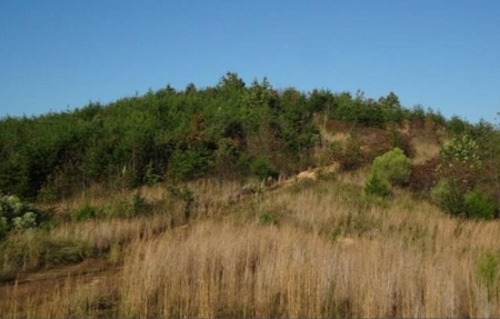 Sold! Wayne County Tn Mountaintop View Land 20 Ac - image 10