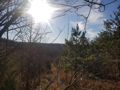 Sold! Wayne County Tn Mountaintop View Land 20 Ac - image 2