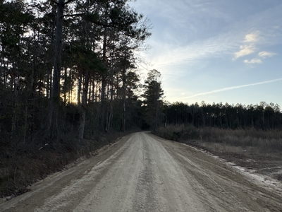 Cleared Land w/ Hardwood Creeks for Sale near Junction City, AR - image 7