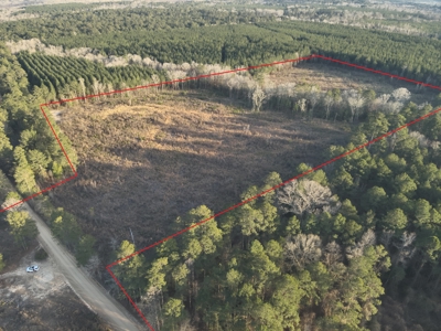Cleared Land w/ Hardwood Creeks for Sale near Junction City, AR - image 3