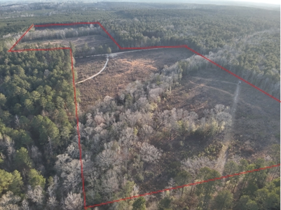 Cleared Land w/ Hardwood Creeks for Sale near Junction City, AR - image 2