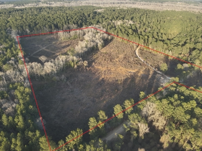 Cleared Land w/ Hardwood Creeks for Sale near Junction City, AR - image 5